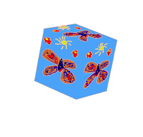 rubik cube papillon